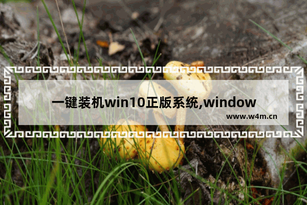 一键装机win10正版系统,windows10一键安装