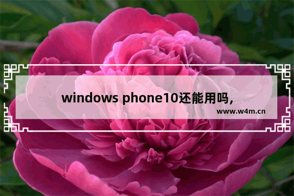 windows phone10还能用吗,