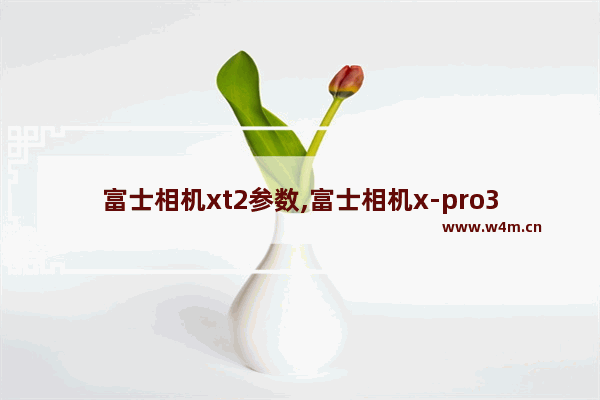 富士相机xt2参数,富士相机x-pro3