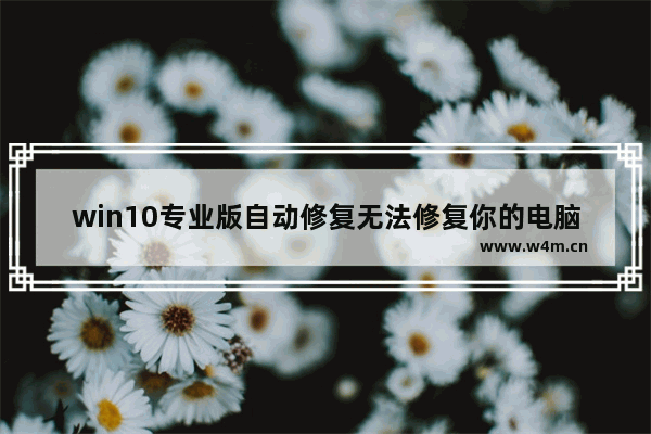 win10专业版自动修复无法修复你的电脑,windows10不能自动修复