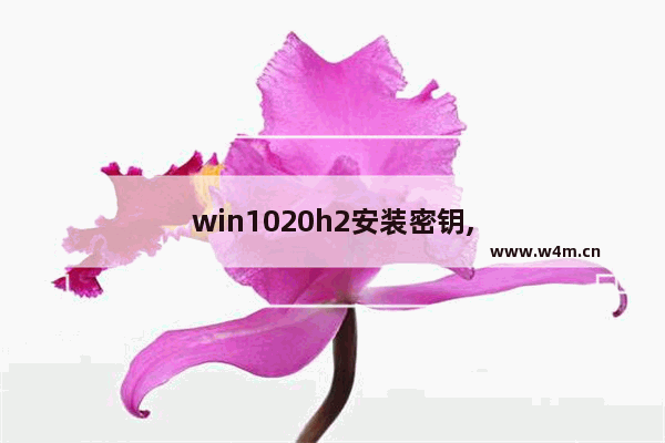 win1020h2安装密钥,