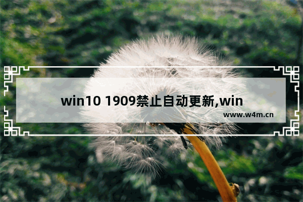 win10 1909禁止自动更新,win10 1909 无法完成更新 正在撤销更改