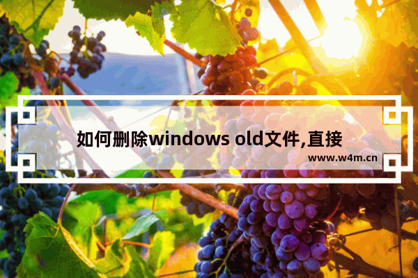 如何删除windows old文件,直接删除windows.old