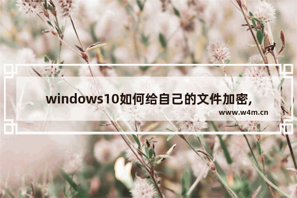 windows10如何给自己的文件加密,Win10文件加密怎么加密文件