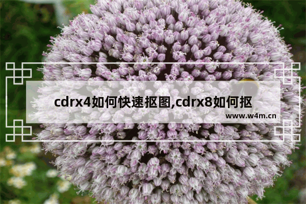 cdrx4如何快速抠图,cdrx8如何抠图