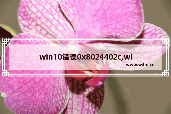 win10错误0x8024402c,win10 0x80070241