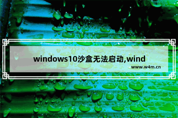 windows10沙盒无法启动,windows10沙盒模式