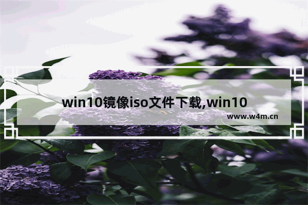 win10镜像iso文件下载,win10官方iso镜像下载