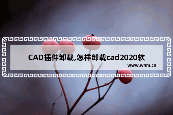 CAD插件卸载,怎样卸载cad2020软件