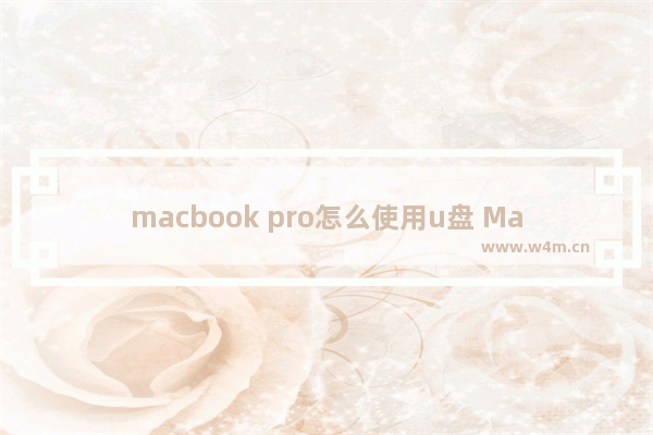 macbook pro怎么使用u盘 MacBook Pro如何使用USB存储设备