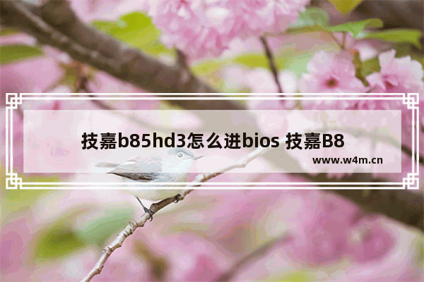 技嘉b85hd3怎么进bios 技嘉B85HD3如何进入BIOS设置