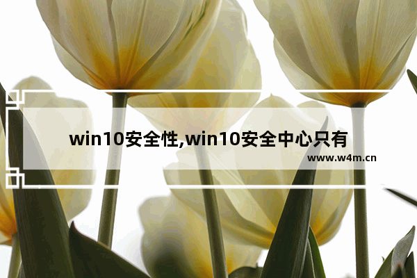 win10安全性,win10安全中心只有安全性概览