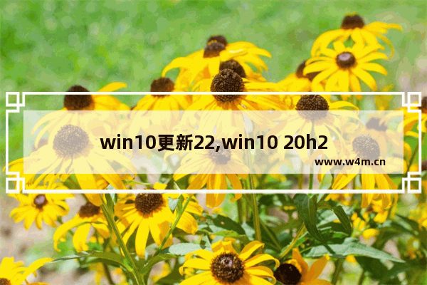 win10更新22,win10 20h2 01累积更新