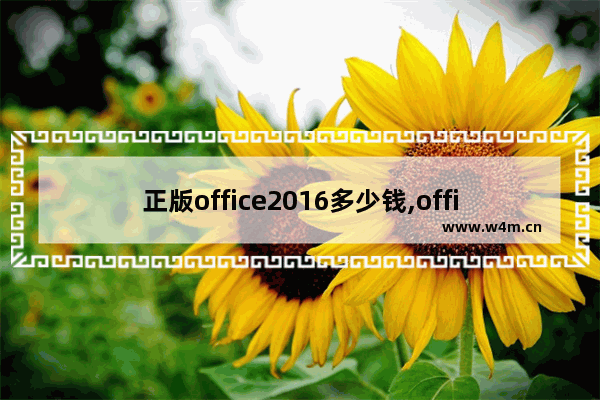 正版office2016多少钱,office 2019 购买