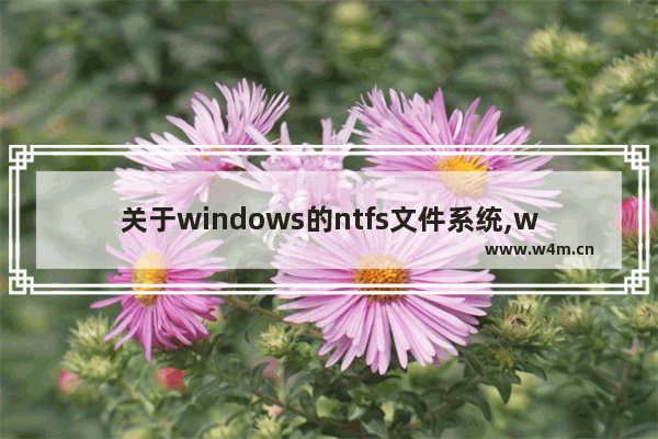 关于windows的ntfs文件系统,win 10 ntfs file system 错误