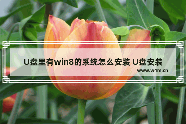 U盘里有win8的系统怎么安装 U盘安装Win8系统的步骤