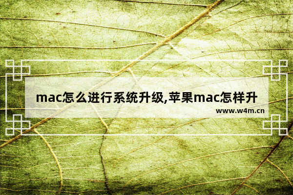 mac怎么进行系统升级,苹果mac怎样升级系统