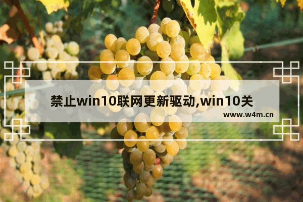 禁止win10联网更新驱动,win10关闭设备驱动更新