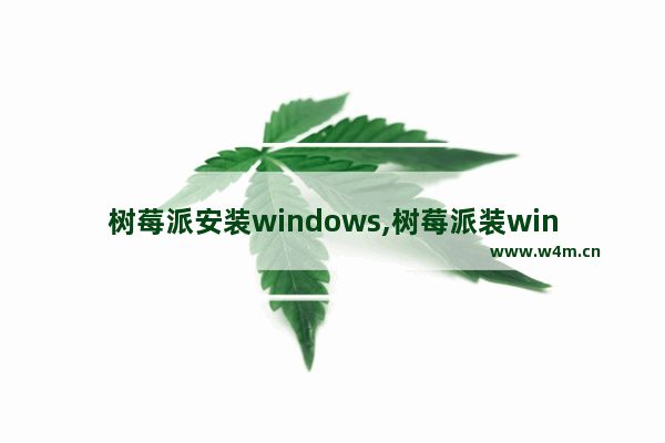 树莓派安装windows,树莓派装window