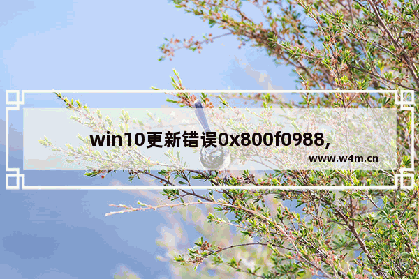 win10更新错误0x800f0988,win10更新错误0x800f0831