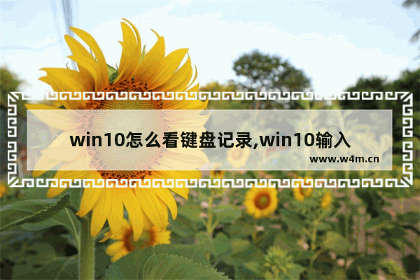 win10怎么看键盘记录,win10输入记录