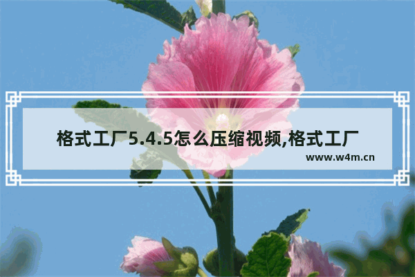 格式工厂5.4.5怎么压缩视频,格式工厂压缩视频最小的格式