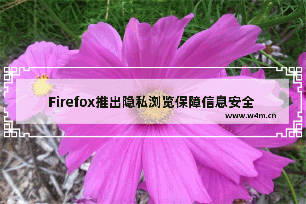 Firefox推出隐私浏览保障信息安全 打造健康互联网,firefox是什么浏览器安全吗