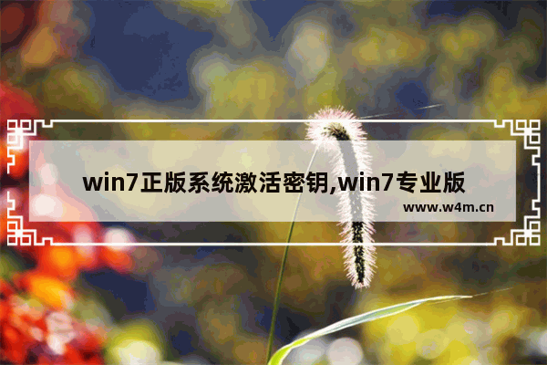 win7正版系统激活密钥,win7专业版激活密钥 永久激活