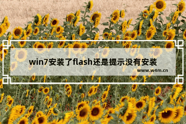 win7安装了flash还是提示没有安装,win7安装flash提示不是最新版本