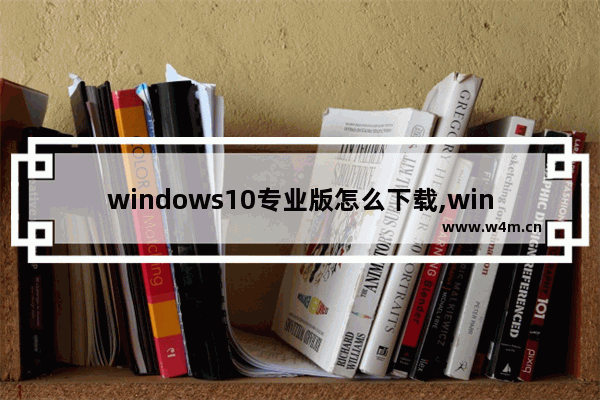 windows10专业版怎么下载,win10专业版下载哪个_1