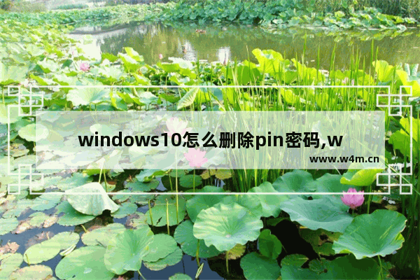 windows10怎么删除pin密码,window10如何删除pin密码