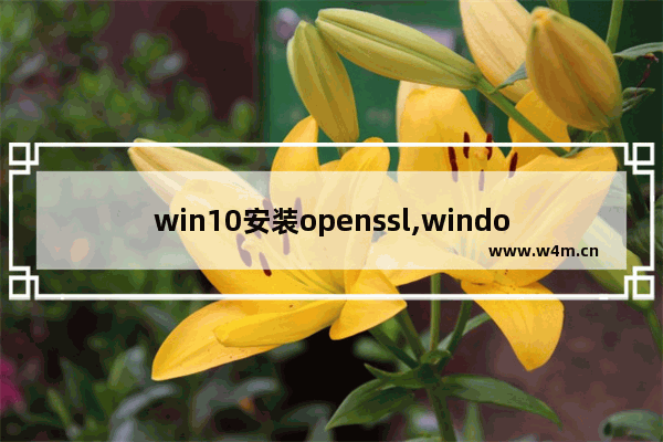 win10安装openssl,windows安装openssh