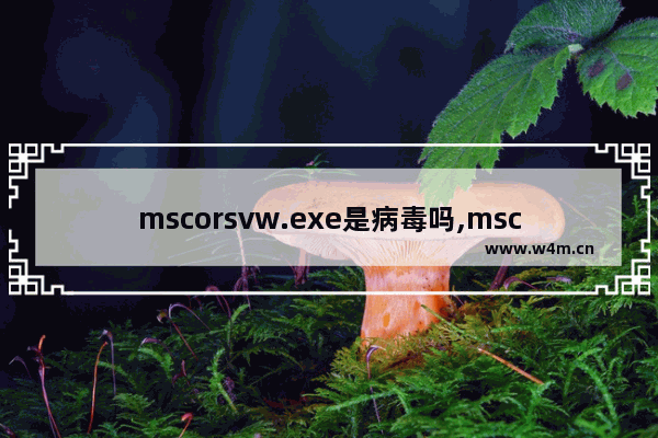 mscorsvw.exe是病毒吗,mscorsvw.exe系统错误