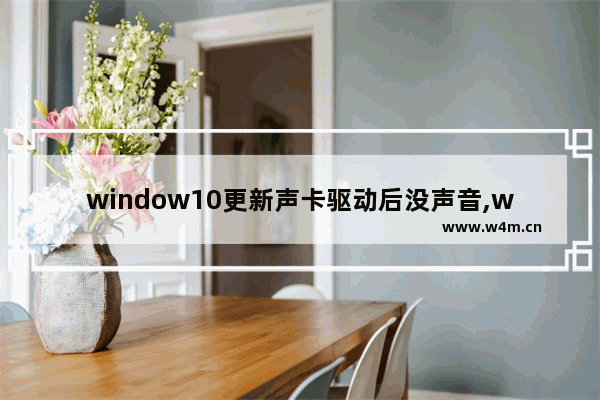 window10更新声卡驱动后没声音,win10声卡无法安装