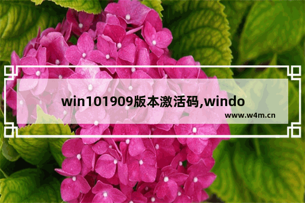 win101909版本激活码,windows10专业版版本号1903怎么激活_3