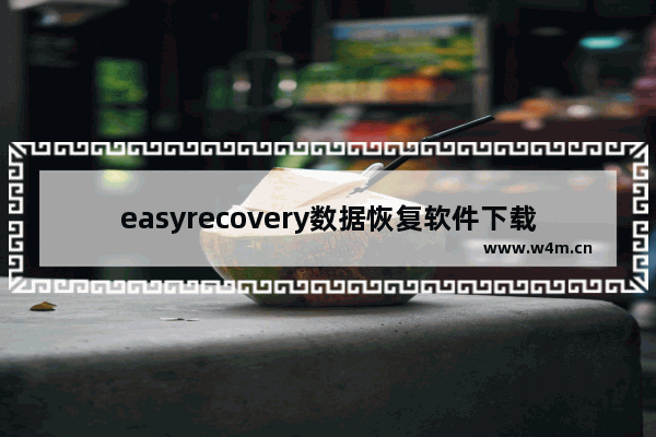 easyrecovery数据恢复软件下载,数据恢复easyrecovery是磁盘工具吗_1