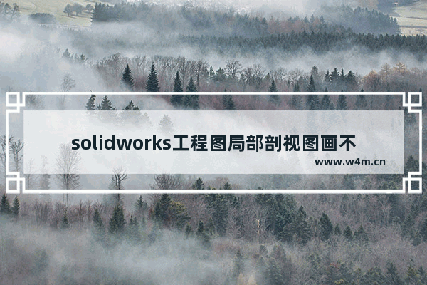 solidworks工程图局部剖视图画不了,solidworks无法剖切视图