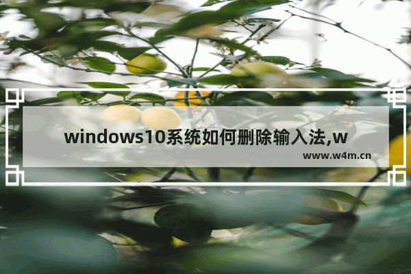 windows10系统如何删除输入法,windows10系统如何删除账户