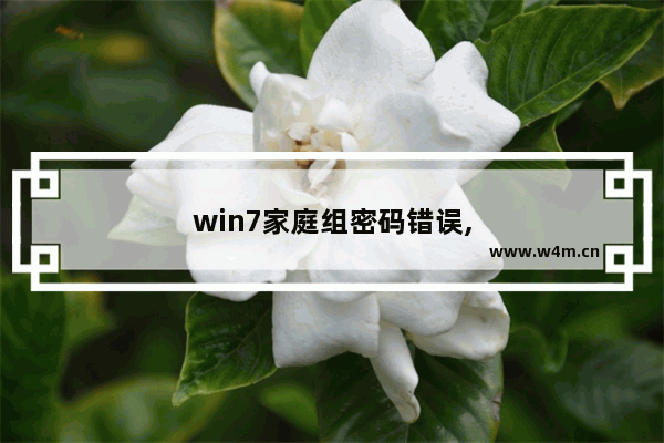 win7家庭组密码错误,