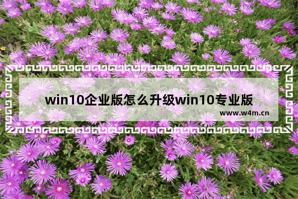 win10企业版怎么升级win10专业版,windows专业版升级企业版