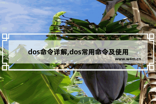 dos命令详解,dos常用命令及使用