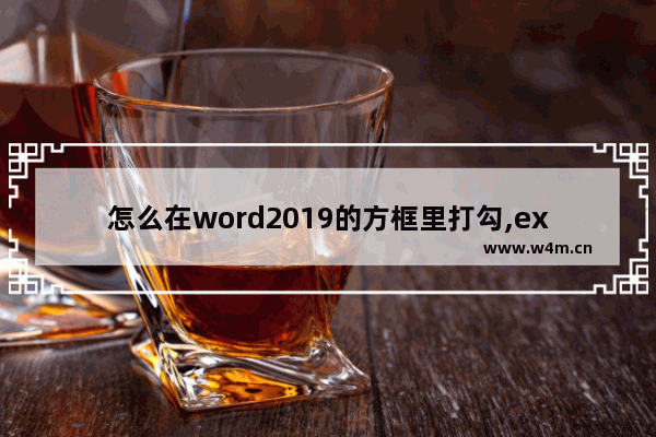 怎么在word2019的方框里打勾,excel2019方框点击一下自动打勾