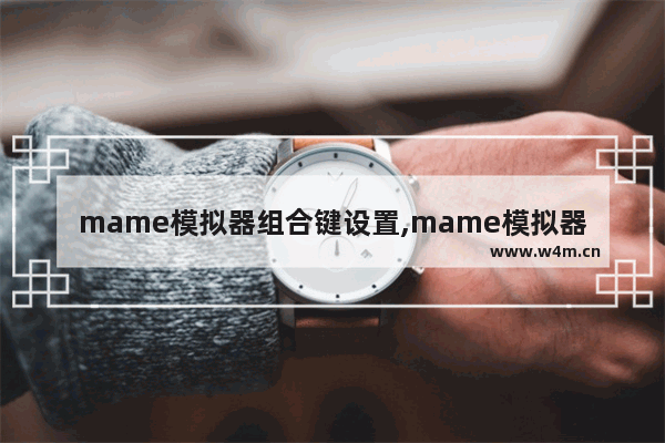 mame模拟器组合键设置,mame模拟器快捷键