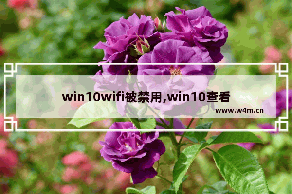 win10wifi被禁用,win10查看Wi-Fi