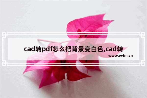 cad转pdf怎么把背景变白色,cad转pdf怎么变成黑白了