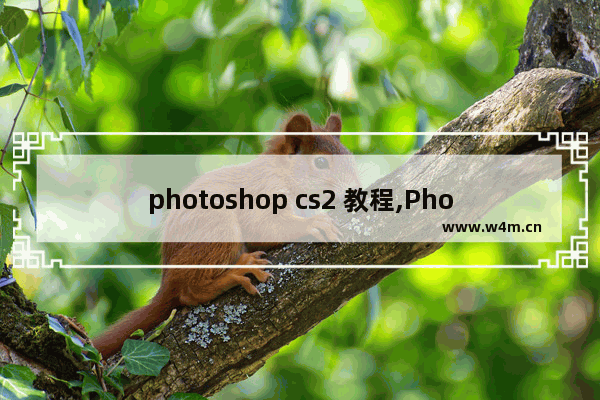 photoshop cs2 教程,Photoshop CS2