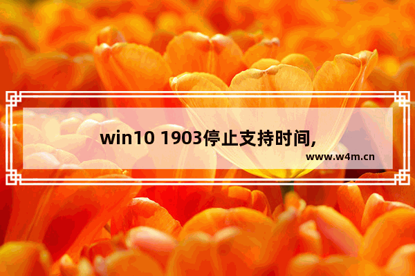 win10 1903停止支持时间,