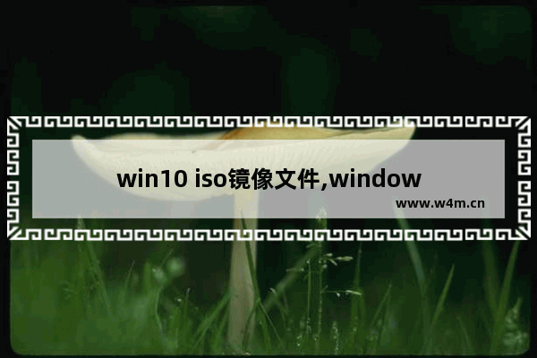 win10 iso镜像文件,windows10 iso镜像