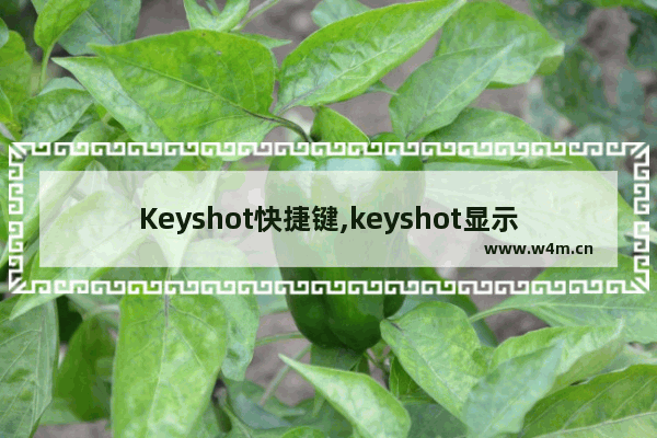 Keyshot快捷键,keyshot显示全部快捷键