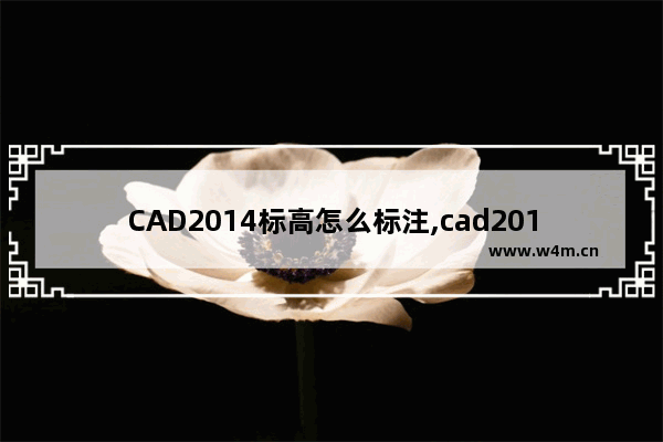 CAD2014标高怎么标注,cad2012标高怎么标注